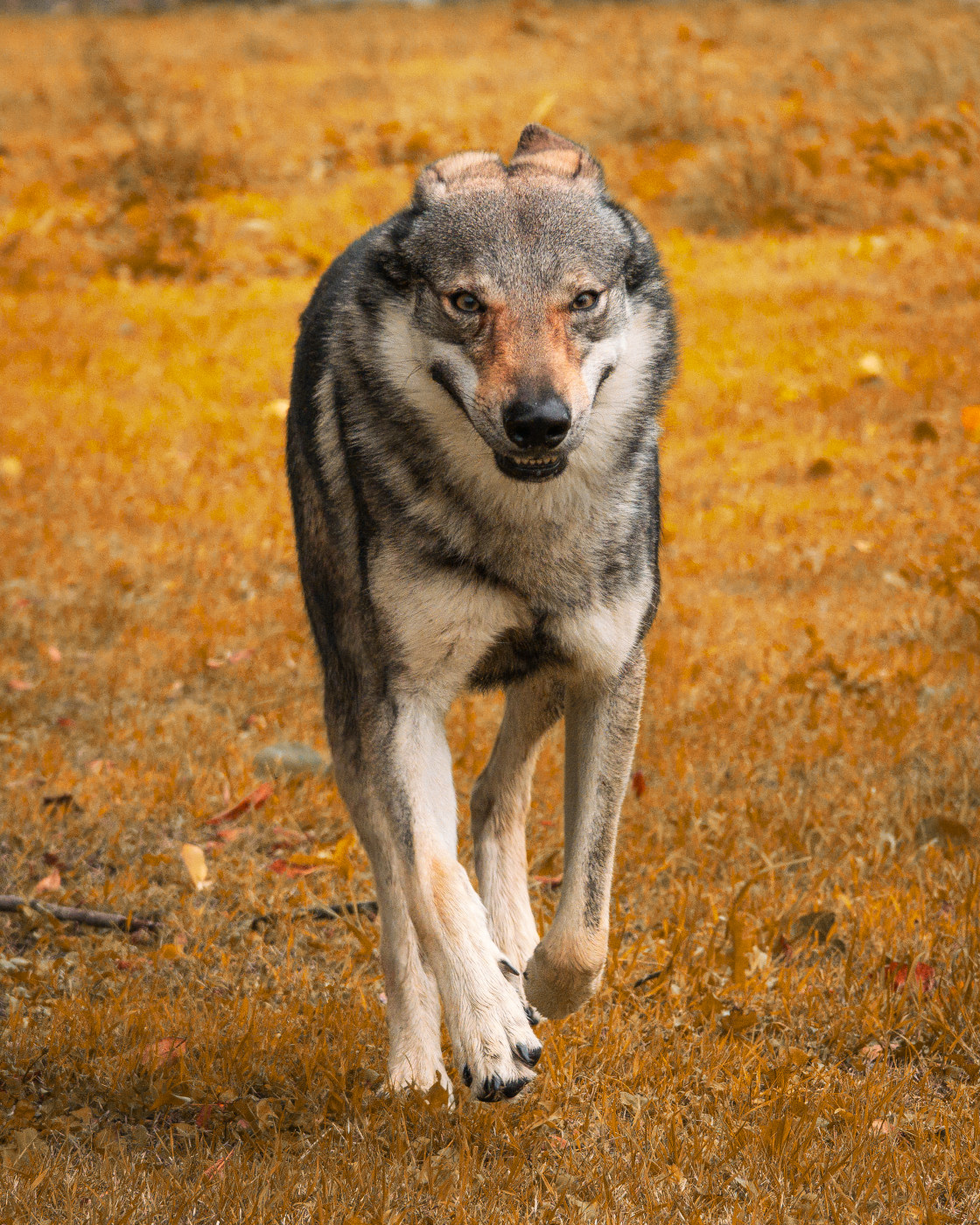 Réservation 2026 ouverte