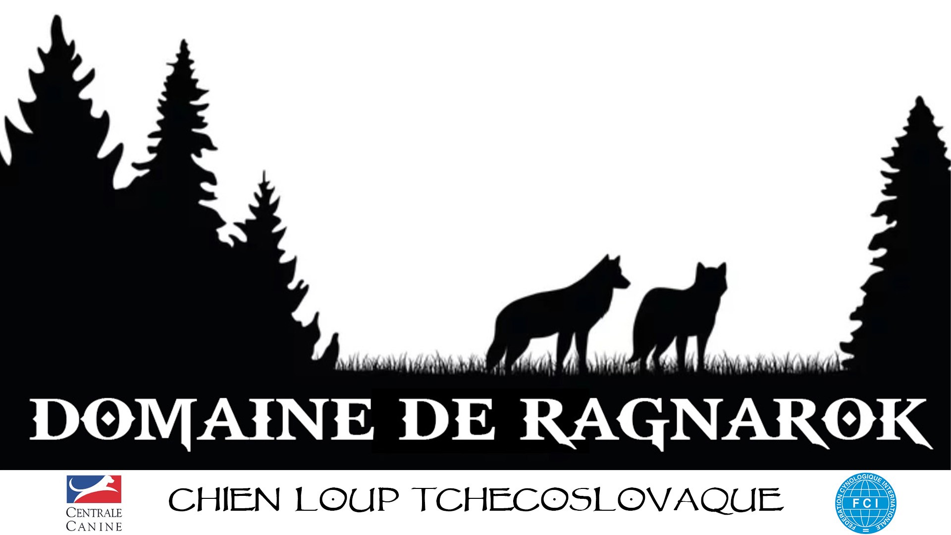 Du Domaine De Ragnarok